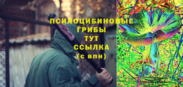 ГАЛЛЮЦИНОГЕННЫЕ ГРИБЫ Абаза