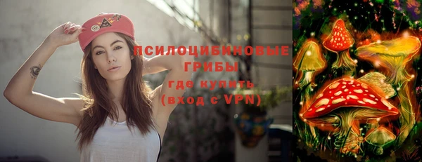 ГАЛЛЮЦИНОГЕННЫЕ ГРИБЫ Абаза