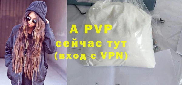 СК Абинск