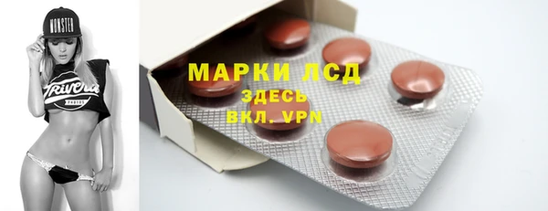 ГАЛЛЮЦИНОГЕННЫЕ ГРИБЫ Абаза