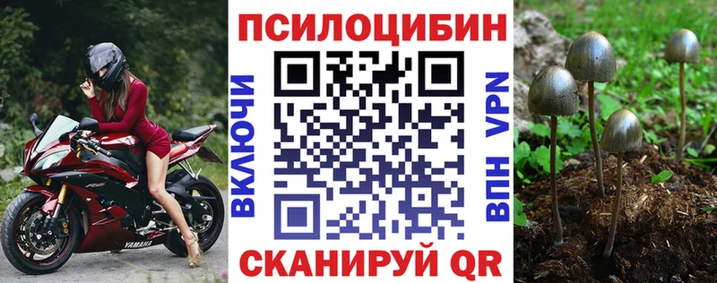 купить наркотики сайты Болохово Галлюциногенные грибы Psilocybine cubensis